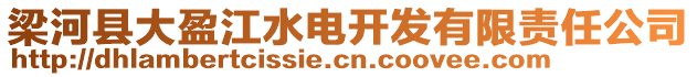 梁河縣大盈江水電開發(fā)有限責(zé)任公司