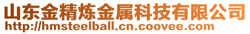 山東金精煉金屬科技有限公司