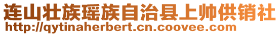 连山壮族瑶族自治县上帅供销社