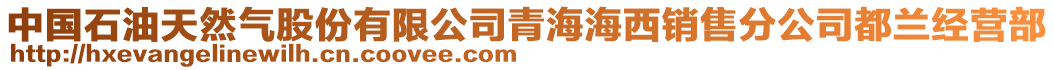 中国石油天然气股份有限公司青海海西销售分公司都兰经营部