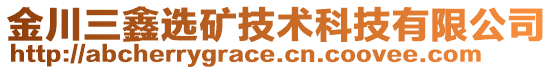 金川三鑫選礦技術(shù)科技有限公司