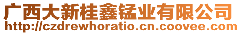 廣西大新桂鑫錳業(yè)有限公司