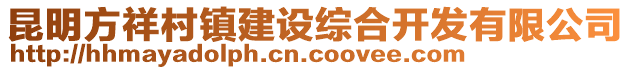 昆明方祥村鎮(zhèn)建設綜合開發(fā)有限公司