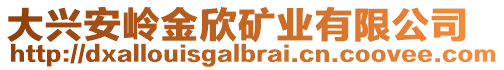 大興安嶺金欣礦業(yè)有限公司