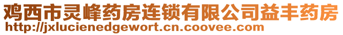 雞西市靈峰藥房連鎖有限公司益豐藥房