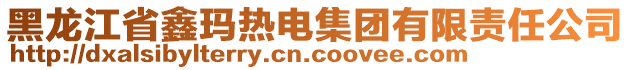 黑龍江省鑫瑪熱電集團有限責任公司