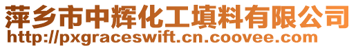 萍鄉(xiāng)市中輝化工填料有限公司