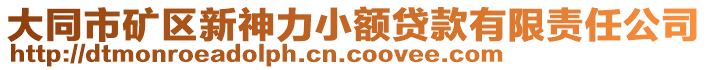 大同市礦區(qū)新神力小額貸款有限責任公司