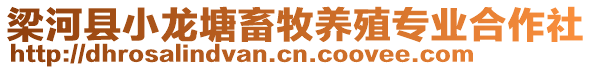 梁河縣小龍?zhí)列竽琉B(yǎng)殖專業(yè)合作社