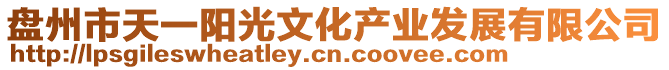 盤州市天一陽光文化產業發展有限公司