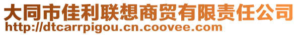 大同市佳利聯(lián)想商貿有限責任公司