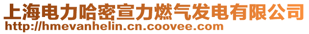 上海電力哈密宣力燃?xì)獍l(fā)電有限公司