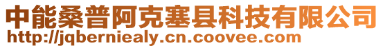 中能桑普阿克塞縣科技有限公司