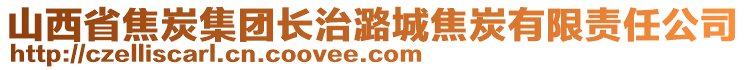 山西省焦炭集團(tuán)長(zhǎng)治潞城焦炭有限責(zé)任公司