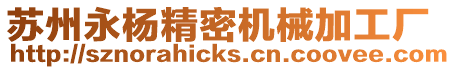 蘇州永楊精密機械加工廠