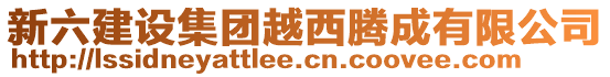 新六建設(shè)集團越西騰成有限公司
