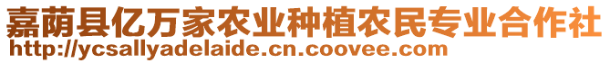 嘉蔭縣億萬家農(nóng)業(yè)種植農(nóng)民專業(yè)合作社