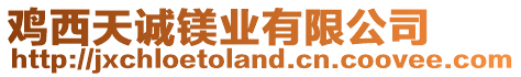 雞西天誠鎂業有限公司