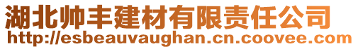 湖北帥豐建材有限責(zé)任公司