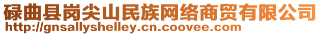 碌曲縣崗尖山民族網絡商貿有限公司