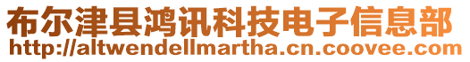 布爾津縣鴻訊科技電子信息部