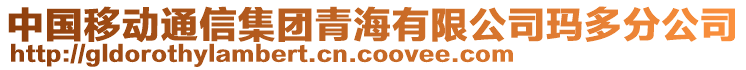 中國移動通信集團(tuán)青海有限公司瑪多分公司