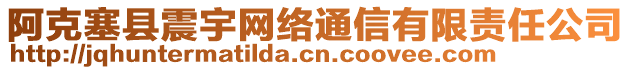 阿克塞縣震宇網(wǎng)絡(luò)通信有限責(zé)任公司