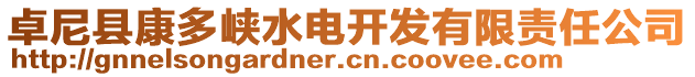 卓尼縣康多峽水電開發(fā)有限責(zé)任公司