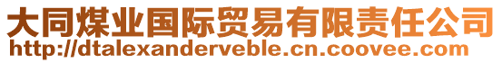 大同煤業(yè)國(guó)際貿(mào)易有限責(zé)任公司