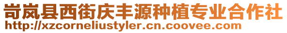 岢嵐縣西街慶豐源種植專業(yè)合作社