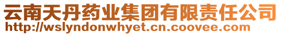 云南天丹药业集团有限责任公司