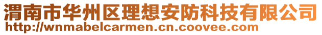 渭南市華州區(qū)理想安防科技有限公司