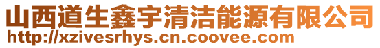 山西道生鑫宇清潔能源有限公司