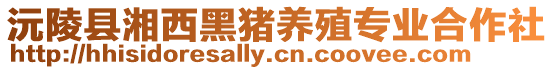 沅陵縣湘西黑豬養(yǎng)殖專業(yè)合作社