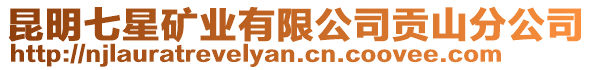 昆明七星礦業(yè)有限公司貢山分公司
