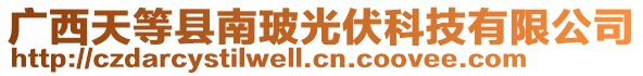 廣西天等縣南玻光伏科技有限公司