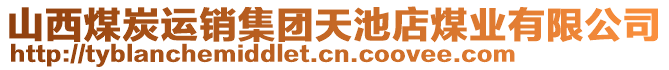 山西煤炭运销集团天池店煤业有限公司