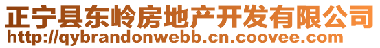 正寧縣東嶺房地產開發(fā)有限公司