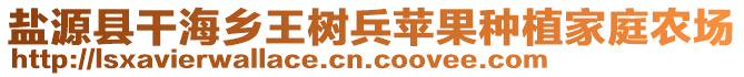 鹽源縣干海鄉(xiāng)王樹兵蘋果種植家庭農(nóng)場