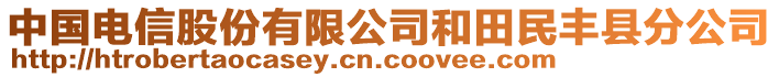 中國電信股份有限公司和田民豐縣分公司