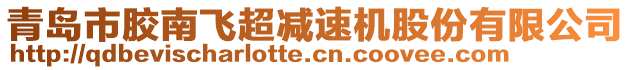 青岛市胶南飞超减速机股份有限公司