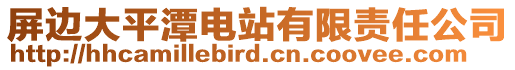 屏邊大平潭電站有限責任公司