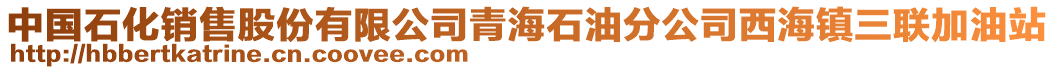 中國石化銷售股份有限公司青海石油分公司西海鎮(zhèn)三聯(lián)加油站