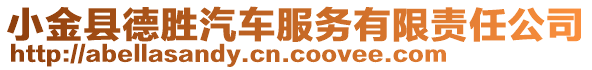 小金縣德勝汽車服務有限責任公司