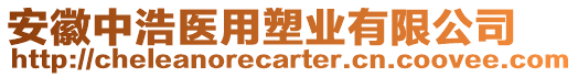 安徽中浩醫(yī)用塑業(yè)有限公司