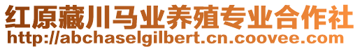 紅原藏川馬業(yè)養(yǎng)殖專業(yè)合作社