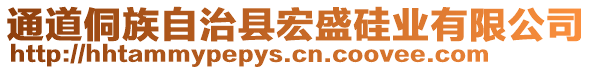 通道侗族自治縣宏盛硅業(yè)有限公司