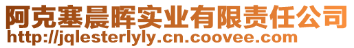 阿克塞晨暉實(shí)業(yè)有限責(zé)任公司