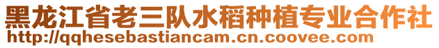 黑龍江省老三隊(duì)水稻種植專業(yè)合作社