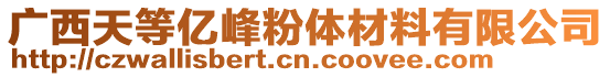 廣西天等億峰粉體材料有限公司